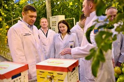 Врио главы Тамбовской области посетил «Тепличное»
