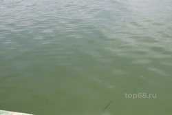 В Староюрьевском округе утонул мужчина