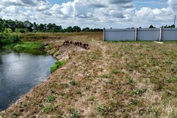 В Моршанском округе выявили нарушения природоохранного законодательства