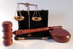 Завершено расследование уголовного дела в отношении злоумышленников, напавших на экоактивиста