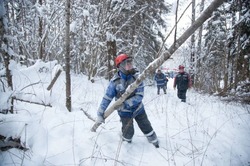Электроснабжение в Тамбовской области полностью восстановили после непогоды