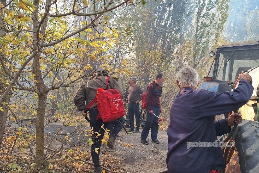 Спасали село от огня пожарные, добровольцы, местные жители.