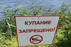 В Тамбове на нескольких пляжах запретили купаться