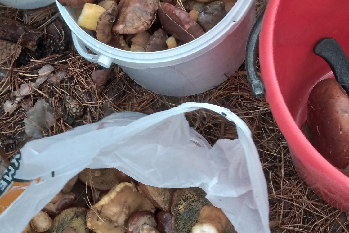 Фото: Галина Лебедева