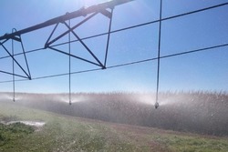 Урожайность на мордовских полях повышают с помощью оросительных систем