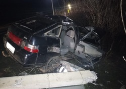 Под Тамбовом «ВАЗ» улетел в кювет и снёс столб: два подростка в больнице