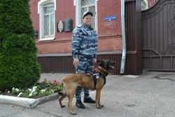 Мичуринский кинолог обезвредила преступника с гранатой
