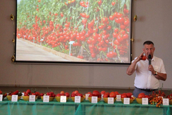 В Притамбовье школьников и аграриев ждут на «овощном» Дне поля