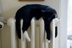 В Мичуринске до конца недели дадут отопление в жилые дома