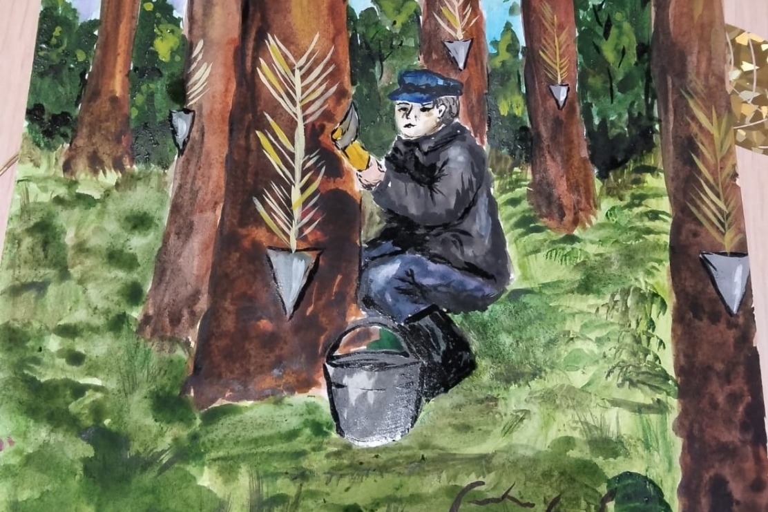 «Сбор живицы». Рисунок Александра Сафронова