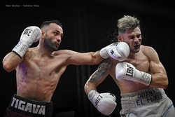  В Тамбове прошел вечер профессионального бокса: фоторепортаж