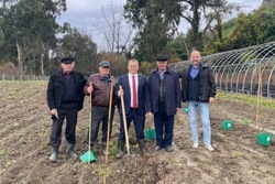 Тамбовские учёные заложили субтропический сад жимолости в Абхазии