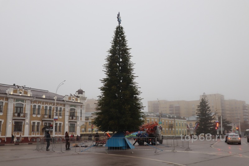 Площадь ленина елка