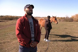 У фермера из Первомайского района украли породистых лошадей