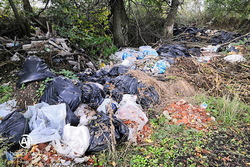 В Знаменском районе выявлены факты загрязнения земли мусором и сточными водами