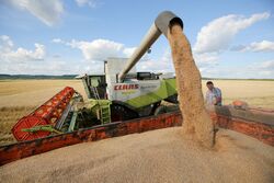 На Тамбовщине намолотили два миллиона тонн зерна