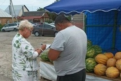 В Тамбове провели рейд по выявлению незаконной уличной торговли