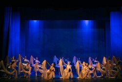 Тамбовский ансамбль классического танца «Вдохновение» выдвинут на соискание Премии ЦФО