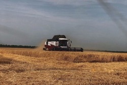 В Тамбовской области идёт активная фаза уборочной кампании