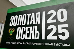 В Тамбовской области построят комплекс для приёма и отгрузки зерна на железнодорожный транспорт