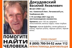 В Тамбовской области разыскивают без вести пропавшего 80-летнего пенсионера