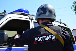 Тамбовские росгвардейцы задержали гражданина, который находился в федеральном розыске