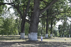 В Знаменском районе благоустроили старинный парк