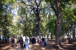 Дуб в усадьбе Асеевых занял третье место в конкурсе «Российское дерево года»