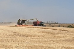 Тамбовские аграрии собрали уже 100 тонн зерна