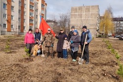 Жители мичуринской многоэтажки посадили 80 сосен в честь юбилея Победы