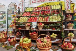 Около 600 производителей привезут свою продукцию на «День садовода-2019» в Мичуринск