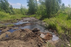 Экологи обязали администрацию Моршанска ликвидировать  свалку нефтепродуктов
