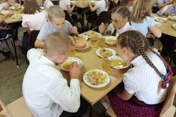 Тамбовские  школьники довольны горячими завтраками и обедами