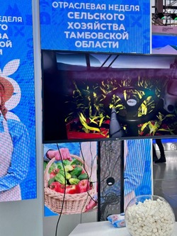 Тамбовская область представит на ВДНХ новые проекты в сфере агротуризма