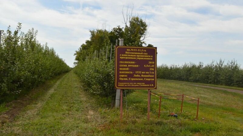 Купить Дом В Петровском Районе Село Дубовое