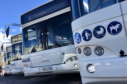 На улицы Тамбова выйдут новенькие автобусы на газомоторном топливе