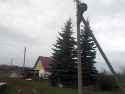 В Первомайском округе у дома матери участника СВО сделали освещение
