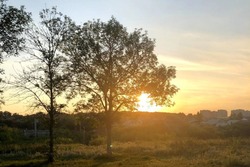 Тамбов ожидает холодная и ветреная неделя