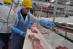 Производство мяса в Тамбовской области выросло на 12 процентов