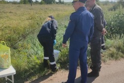 Почему погибла рыба в Молодежном: тамбовская прокуратура проводит проверку