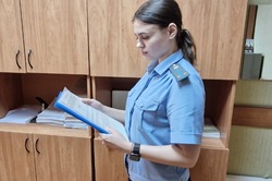 Тамбовчанин выплатили алименты на троих детей после ареста автомобиля 