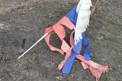 В Тамбове на Набережной неизвестные осквернили флаг России