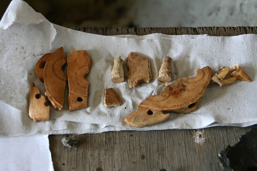 Фрагменты псалий, найденные при раскопках под Тамбовом в 2013 году