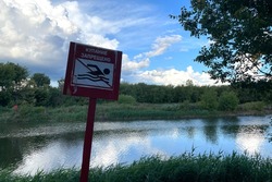 В Сосновском округе из пруда достали тело мужчины
