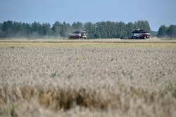 Тамбовская область превысила плановый показатель по намолоту зерна и зернобобовых культур