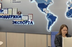На развитие экспорта Тамбовская область получит 19,5 миллиона рублей