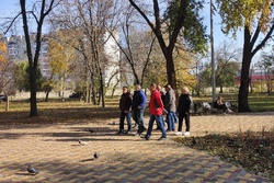 В Тамбове в сквере «Строитель» оборудуют новую детскую площадку