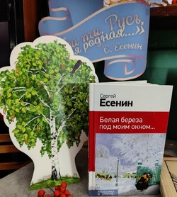 В Тамбовской области стартовала акция «Во мне Есенин говорит»