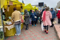 В Тамбове выявили восемь мигрантов-уклонистов