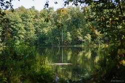 В конце июля в Пригородном лесу Тамбова презентуют экотропу к Святовскому озеру
